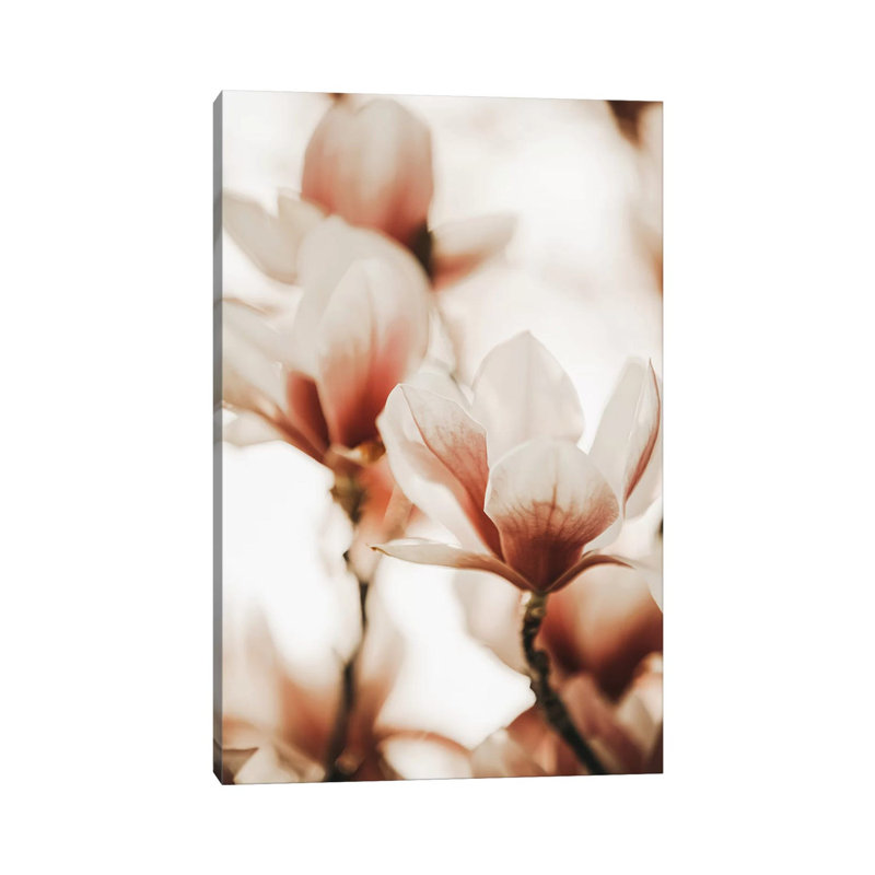 Magnolia Peach I by Monika Strigel - Wrapped Canvas Print, 66.04 cm H x 45.72 cm W x 3.175 cm D