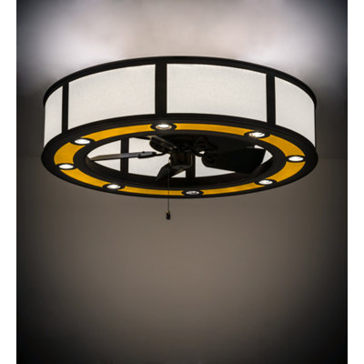 Daneisha 30'' Ceiling Fan with LED Lights