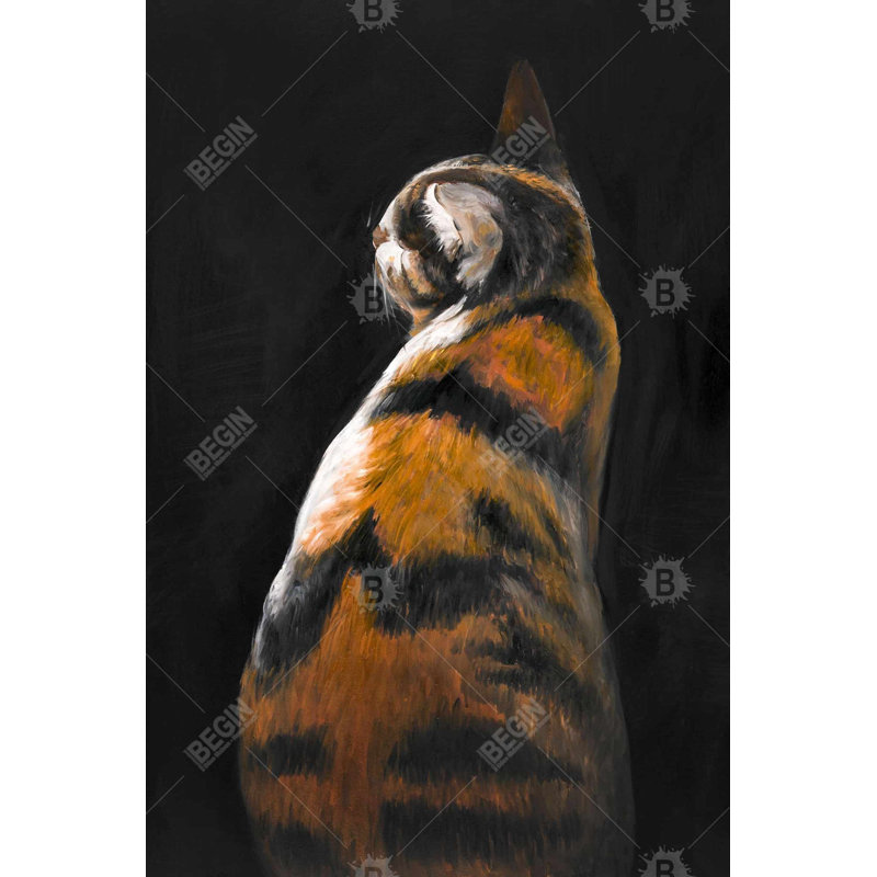 Spotted cat Bath Mat with Non-Slip Backing - Quick Dry Memory Foam Bathroom Rug - Absorbent - Modern Plush Spa-Style - Machine Washable