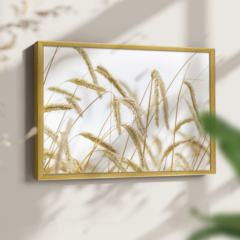 Wheat -Framed Print - Restickable, 22" H x 28" W