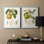 Reproduction encadrée vintage «I-Premium Pears» - prêt à être accroché - aucun clou requis - aucun clou requis