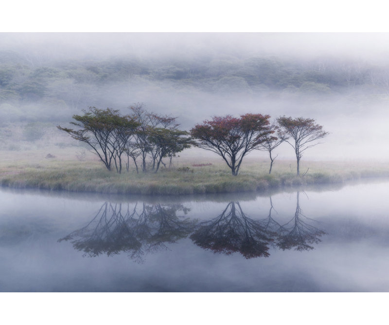 Wrapped Canvas Print, 50.8 cm H x 76.2 cm W