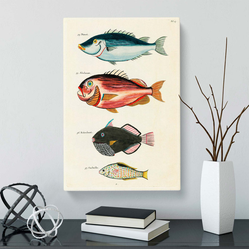 East Indies Fish Illustrations Fol. 17 by Oliver Goldsmith - Wrapped Canvas Painting, 76cm H x 50cm W x 3cm D