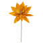 Tiges de poinsettia Clementina-1700957687