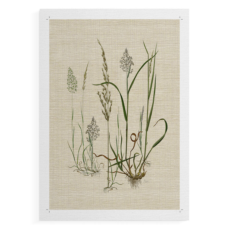 Lin Herbes II - Impression sur toile seulement - NON CADRE, H 36 po x l 24 po
