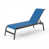 Harnais bleu royal / anthracite sélectionné