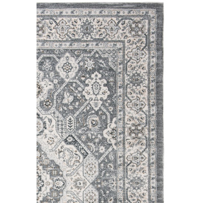 Aaylie Performance Oriental Rug