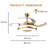 Reinu 38'' Ceiling Fan with LED Lights
