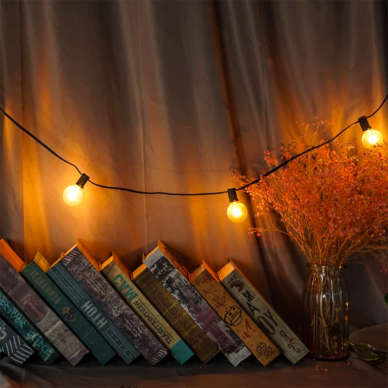 Alga 762cm 28 - Bulb Festoon Lights String Light (End to End Connectable)