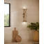 Husk LED Wallchiere-734876498