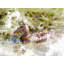 Derelict IV Print by Will Enns-71200544-132872330
