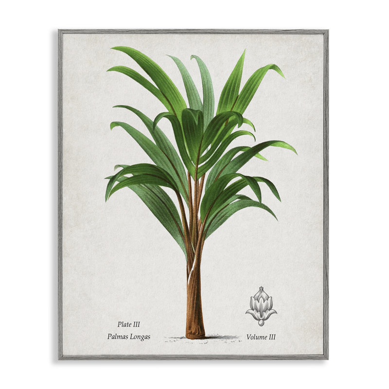Giclée vintage sur feuilles de bananier, dessin par Val Rhodes, Estampe numérique Farmhouse, H 14 po x l 11 po