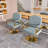 Hydraulic Salon Chair 360° Swivel (Single Pack)-1363508703