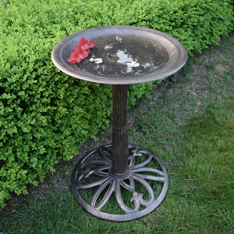Bain d'oiseaux Pomilla Upland