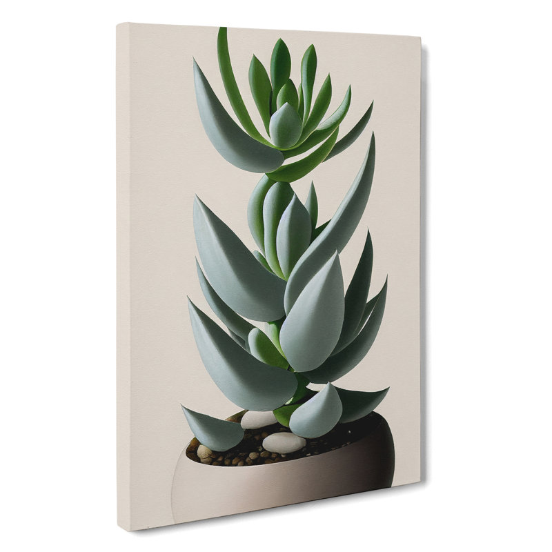 XV1022-4283X Succulent Plant - Print, Wrapped Canvas, No Matte, 50cm H x 35cm W