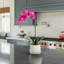 Artificial Orchid Plant-1709654826