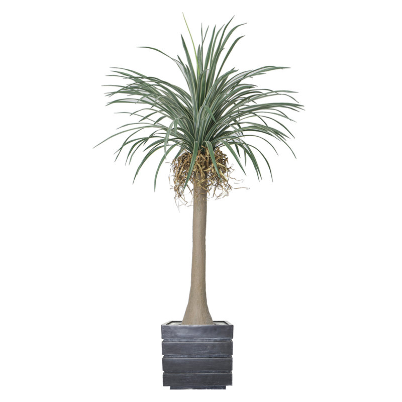 Dragon artificiel 84 po en pot