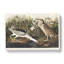Night Heron - Wrapped Canvas Painting-55360260