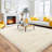 Large Shag Rugs for Bedroom Living Room Decor, Tie Dyed Soft Fluffy Furry Area Rug for Indoor Floor, Aesthetic Carpet for Home Decor-1158648131-1164077829