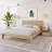 Nightstand with 1-Drawer-1340509844