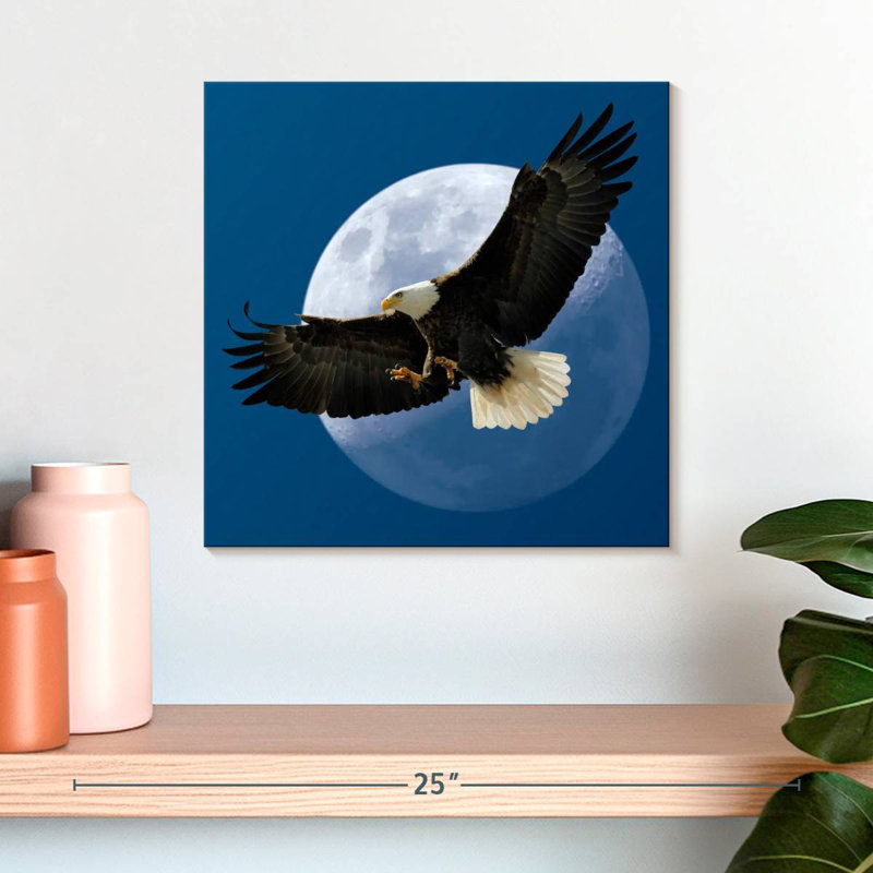 Crowle Midnight Bald Eagle, 16" H x 16" W
