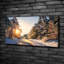 Road In The Winter Forest - Wrapped Canvas Print