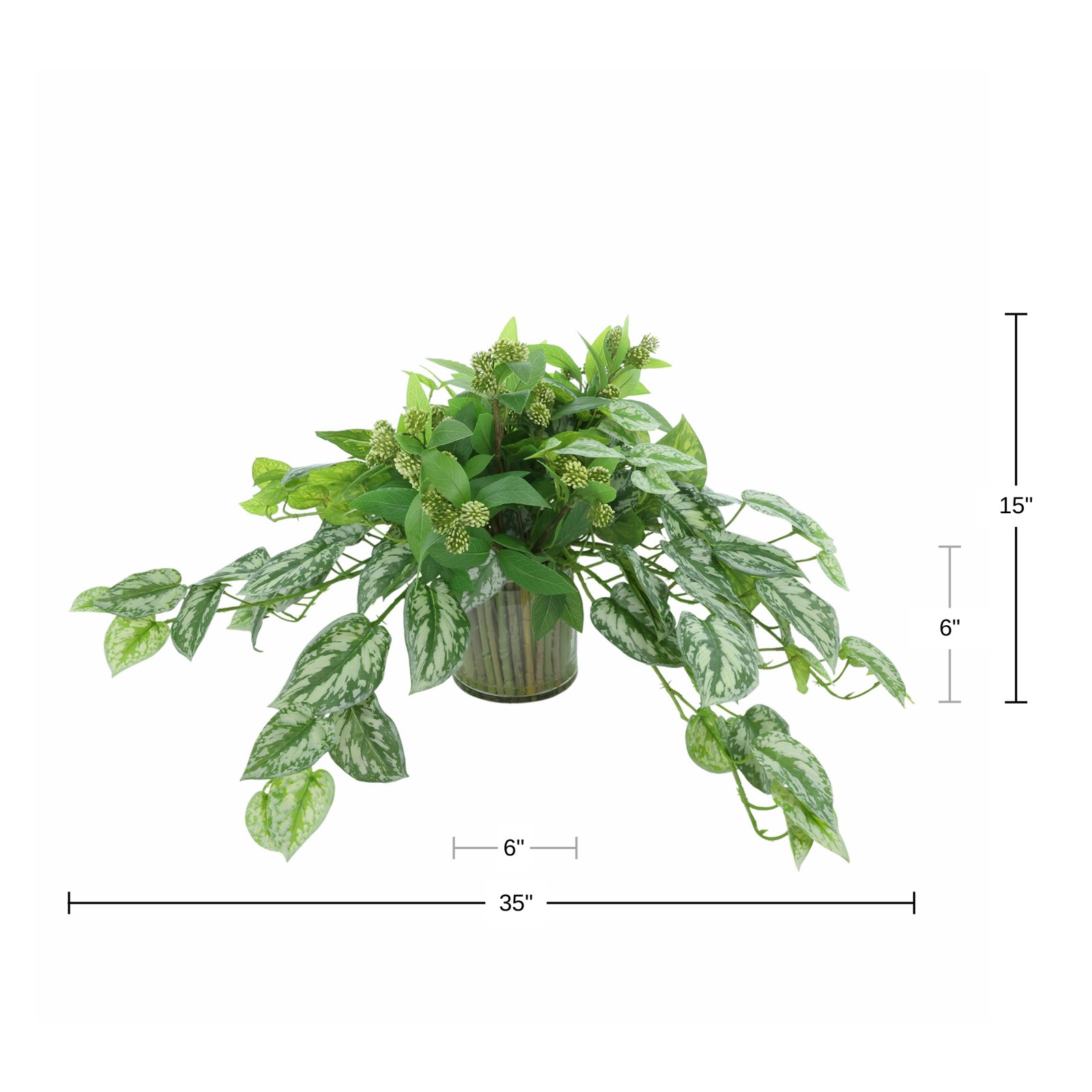 Ivy and Sedum Arrangement in Glass Vase