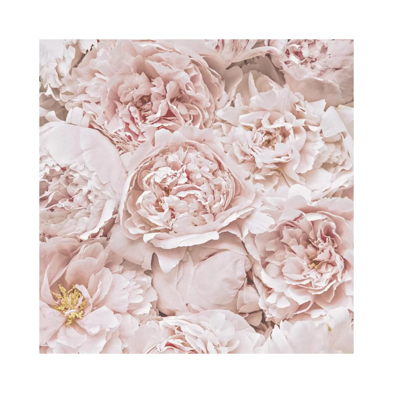 Flowers Peony Blush Square by Monika Strigel - Wrapped Canvas Print, 45.72 cm H x 45.72 cm W x 1.91 cm D