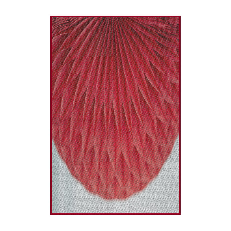 Tapis rouge tissé à la machine, Tapis de couloir 2 pi x 5 pi