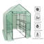 Ellerslie 4.7 Ft W x 11.8 Ft D Mini Greenhouse-943625470