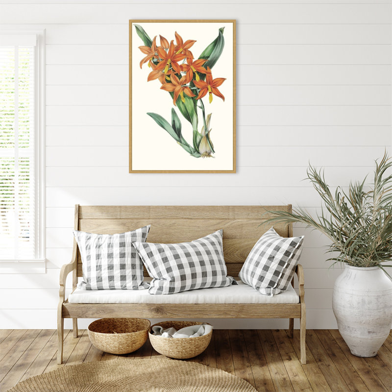 «Tropicals IV» par Jennifer Paxton Parker, reproduction d'art sur toile encadrée, H 33 po x l 23 po