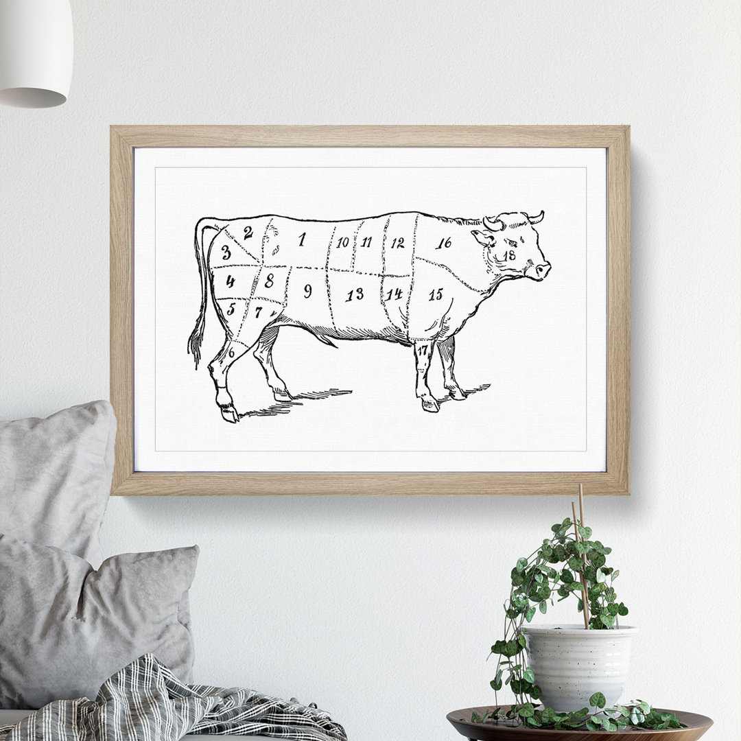 Butchers Beef Cuts - Picture Frame Drawing