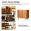 Anita Mid-Century Modern 2-Door Solid Wood Accent Cabinet With Adjustable Shelves And Cable Management-710364347
