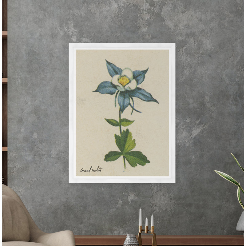 Moulton Collection " White Flower "