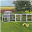 Poulailler en bois-695071434