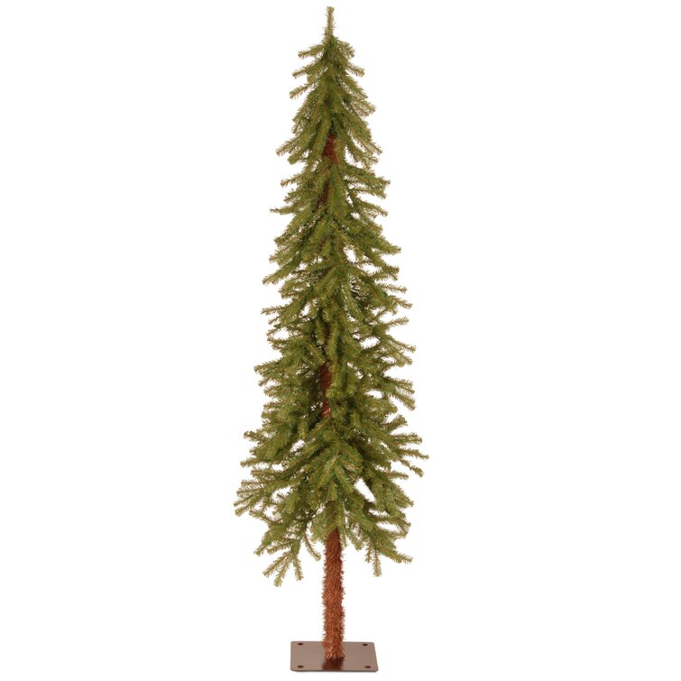 Cedar Christmas Tree