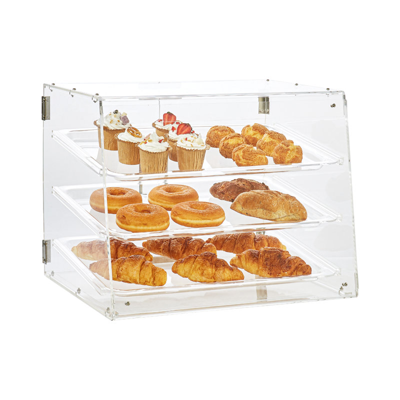 16.3'' H x 20.7'' W Plastic Display Case