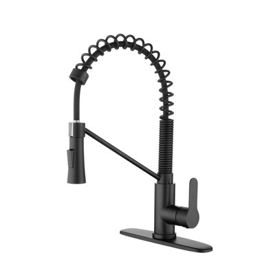 Landolt Pull Down Kitchen Faucet