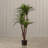 51" Tropical Yucca Artificial Tree with Natural Trunk and Planter by Pure Garden