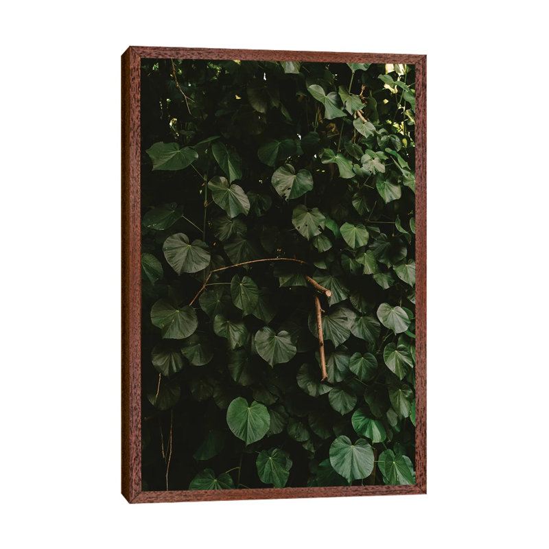 Tropical Hawaii III by Bethany Young - Print on Canvas, 101.6cm H x 66.04cm W x 3.81cm D, Classic Brown Wood Framed