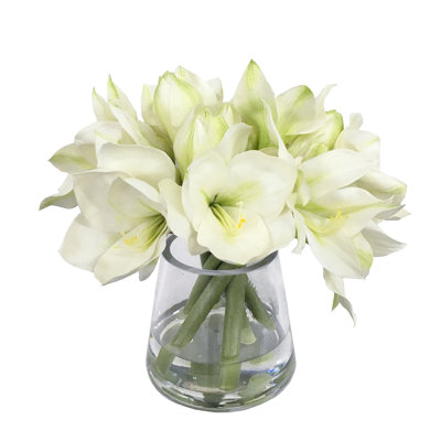 Amaryllis Centerpiece  in Vase