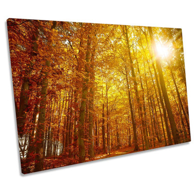 Forest Sunset Sunlight Trees - Wrapped Canvas Print