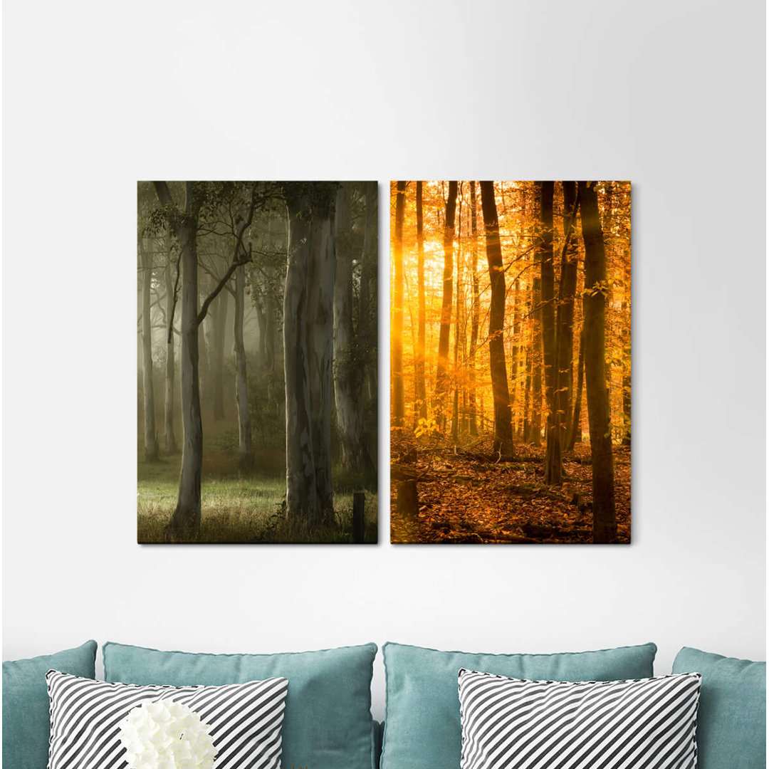 2-tlg. Leinwandbilder-Set - Fotografie „Forest Trees Sunshine Autumn Leaves Warm Light Peaceful”