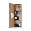 Mendocino 250mm W 800mm H Surface Frameless Medicine Cabinet Mirror 4 Adjustable-545852839