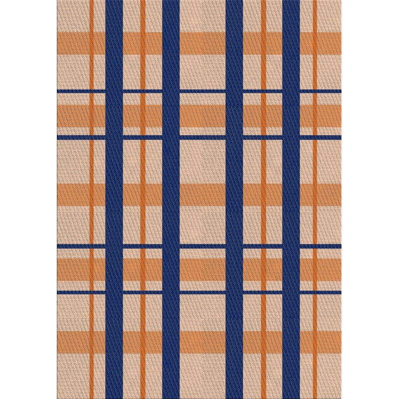Plaid Indoor Rug, Rectangle 3' x 5'