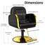 Fauteuil de coiffure noir et or de qualité supérieure pour coiffeur, avec matériau durable amélioré, pivotant à 360 degrés, accoudoirs dorés de luxe, support de fauteuil de coiffage jusqu'à 330 lb