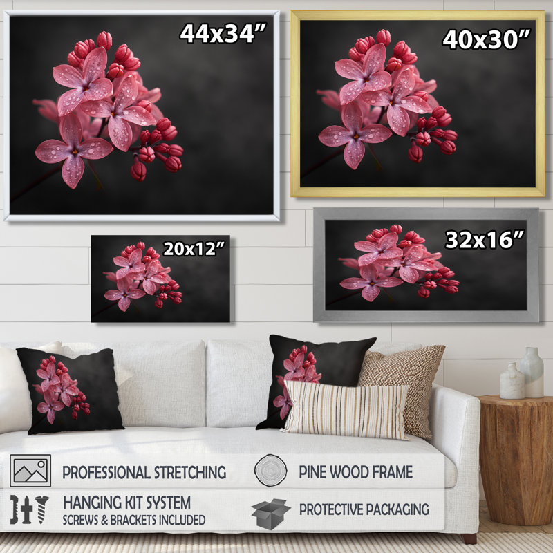 Noir et rose, photo de beauté lilas romantique I - lilas, art mural salon, H 12 po x l 20 po, Cadre simple blanc
