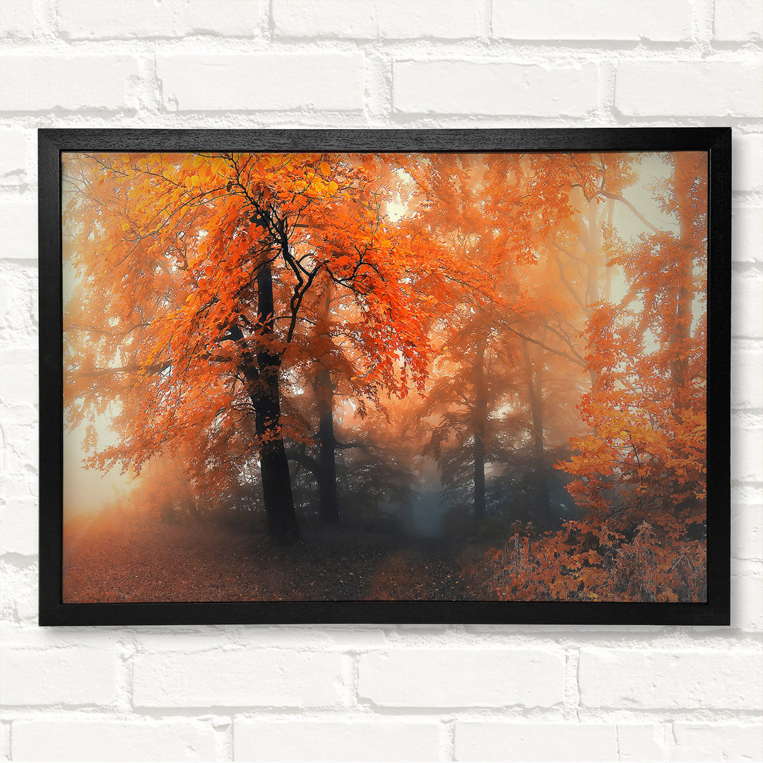 Herbst Orange Mist - Geschlossener Eckrahmen Kunstdrucke auf Holz