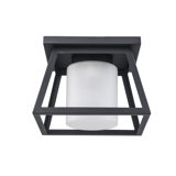 1 - Bulb Outdoor Flush Mount