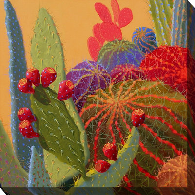" Desert Jewels "